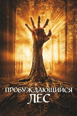 Смотреть фильм Пробуждающийся лес