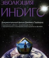 Эволюция Индиго Эволюция Индиго